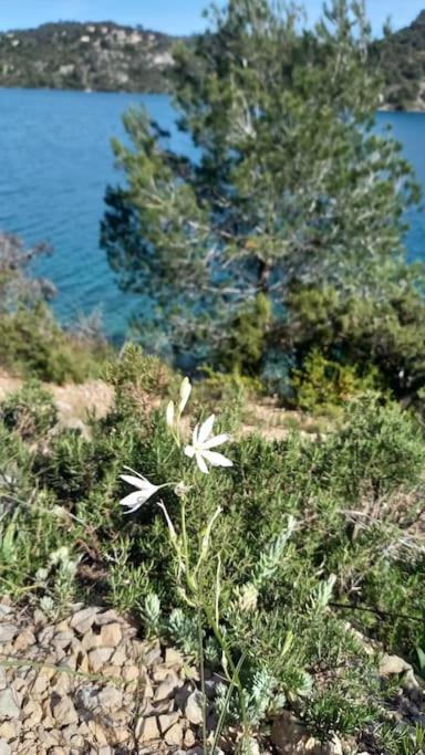 House Of Magic Lake Greoux-les-Bains ภายนอก รูปภาพ