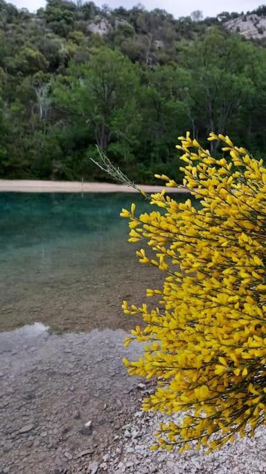 House Of Magic Lake Greoux-les-Bains ภายนอก รูปภาพ